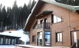 Котедж Шале "Анемона"