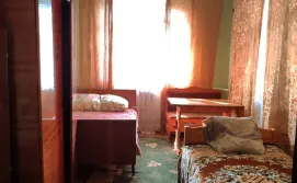 Приватний сектор Бурштин