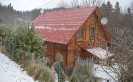 Приватна садиба У Василя на Тростяні