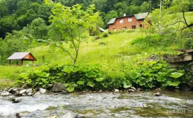 Котедж "Сітний"