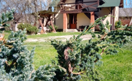 Котедж Амелія