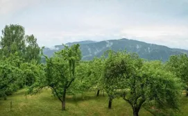 Гостьовий будинок "Кременна"