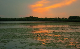 озеро Мошно