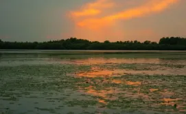 озеро Мошно