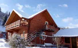 Приватна садиба Мелодія Карпат 2