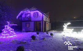 Котедж Гомін Карпат