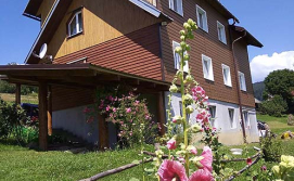 Котедж Карпатські мальви