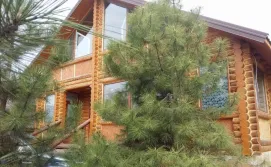 Вилла "Манго" ("Villa Mango")