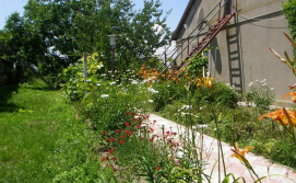 Частная усадьба "Пикник"