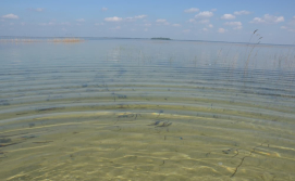 Приватний сектор Дубок