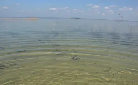 Приватний сектор Дубок