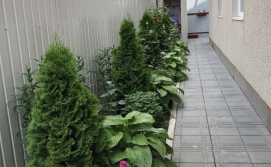 Гостевой двор Viktoriya