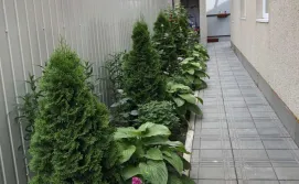 Гостевой двор Viktoriya