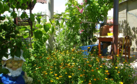 Частная усадьба "Пикник"