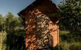 Будиночок на бджолах