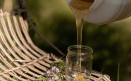 Будиночок на бджолах