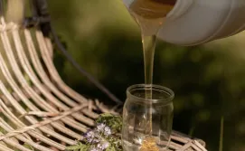 Будиночок на бджолах