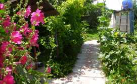 Частная усадьба "Пикник"