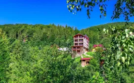 Готель Гуцульська родзинка