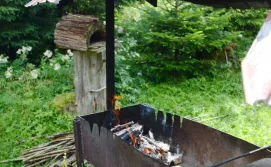 Готель Зарінок