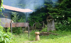 Готель Зарінок