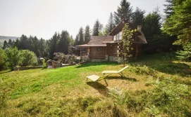 Котедж Forest House exclusive