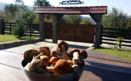 Вілла Зоряний Двір