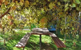 Котедж "У Пасічника"