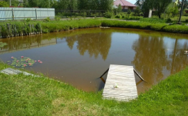 Будинок Цвіт лілії