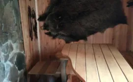 Приватна садиба Теремок