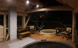 Апартаменти Carpathian manor