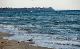 Гостьовий будинок Дача біля моря