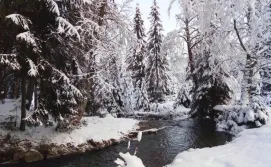 Околиці