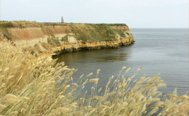 острів Березань