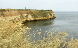 острів Березань