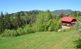 Приватна садиба Карпатські простори