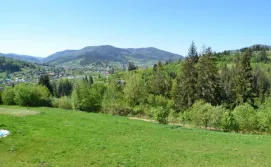 Приватна садиба Карпатські простори