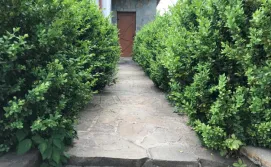 Котедж Щасливий