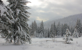 Приватна садиба Крутогора