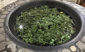 Приватна садиба Під плаєм