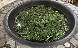 Приватна садиба Під плаєм