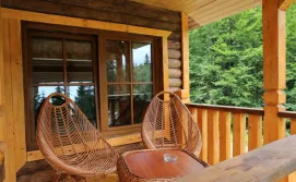 Готель Зарінок