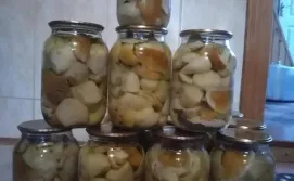 Котедж Барвінок