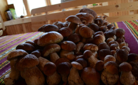 Приватна садиба Файна Хаус