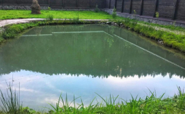 Котедж Лісовий маєток