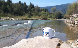 Гостьовий будинок Костел Хаус