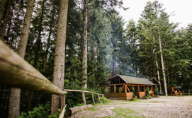 Комплекс для відпочинку Зелений Бір