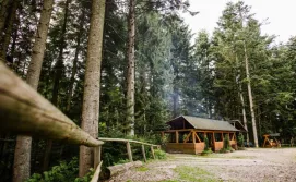 Комплекс для відпочинку Зелений Бір