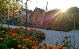 Котедж "У Пасічника"