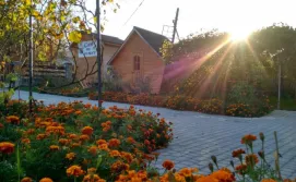 Котедж "У Пасічника"